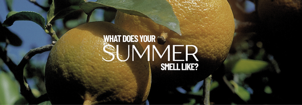SUMMER SCENTS